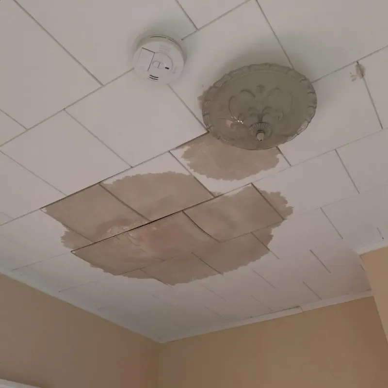 Ceiling Water Damage Repair in Trenton, TN