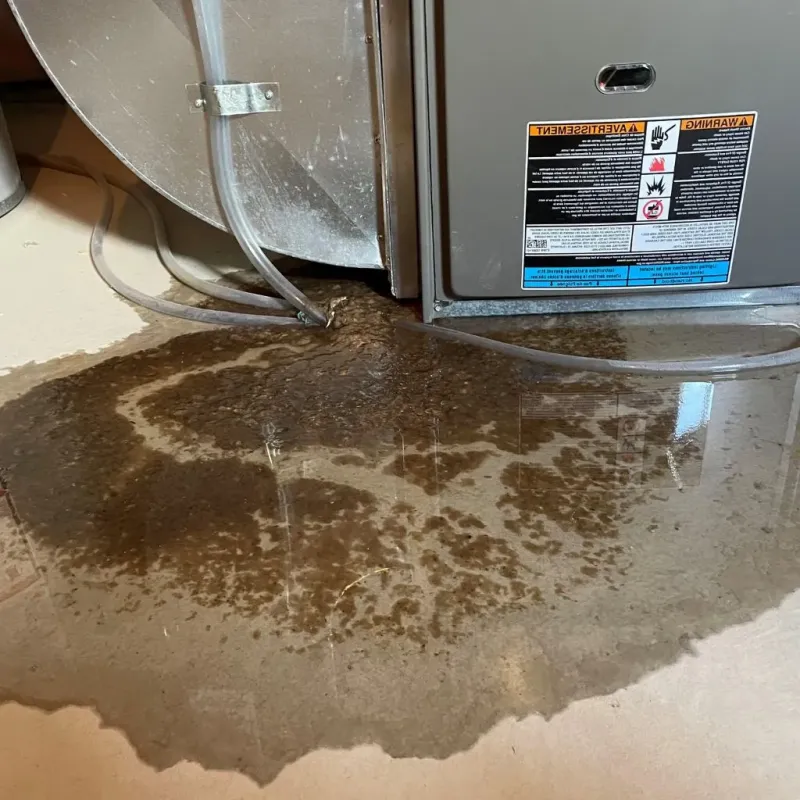 Pipe Burst and Leak Restoration in Trenton, TN