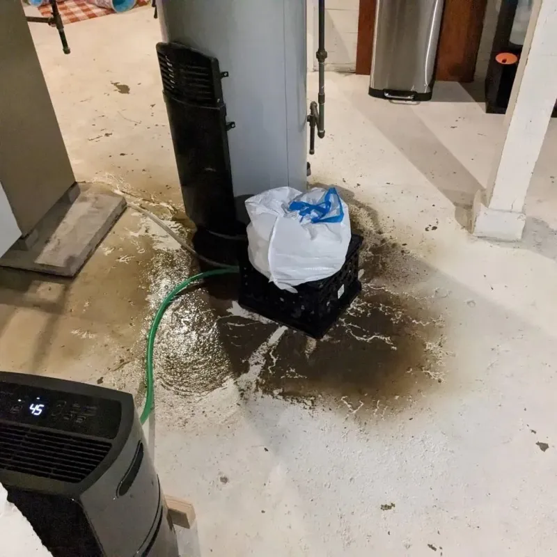 Sewage Backup Cleanup Service in Trenton, TN